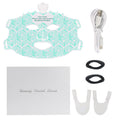 Photon Therapy LED Facial Beauty Mask
